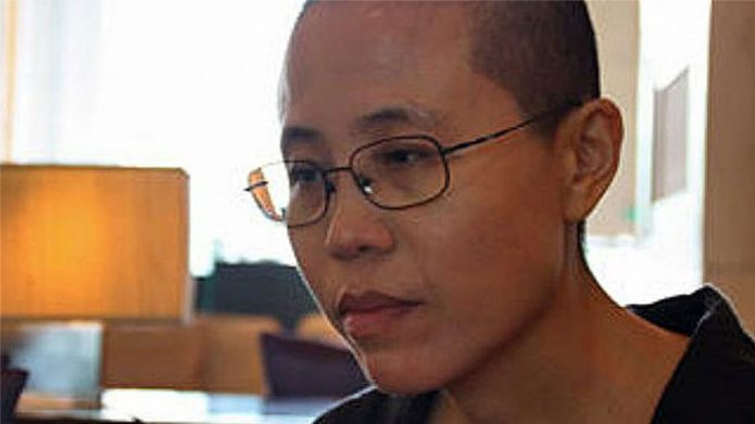 UN Rights Experts Call on China to Release Liu Xia