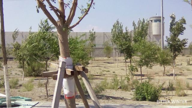 Xinjiang Authorities Build Massive Underground Prison